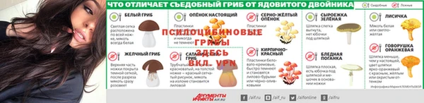 mdpv Балашиха