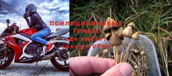 прущие грибы Фёдоровский