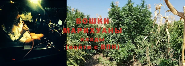 трава Осташков