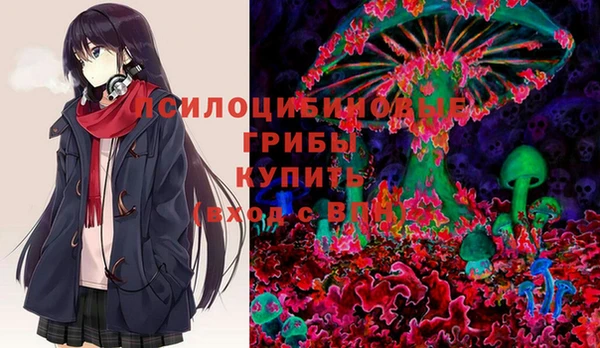 трава Осташков
