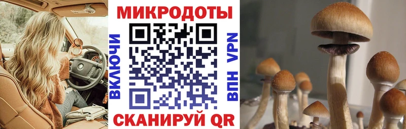 Псилоцибиновые грибы MAGIC MUSHROOMS Кизилюрт