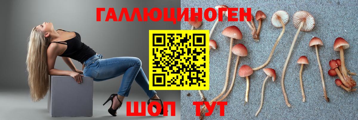 Псилоцибиновые грибы Psilocybine cubensis Кизилюрт