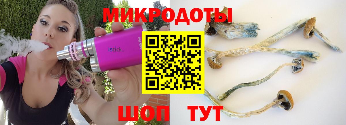 Галлюциногенные грибы MAGIC MUSHROOMS  Вход с VPN  Псилоцибиновые грибы MAGIC MUSHROOMS  Кизилюрт 